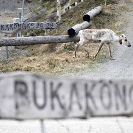 Διαμέρισμα Lempikoengaes, 2 Ruka-pyhae Skipasses Included, Close To Skibus *