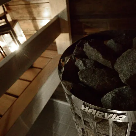 Lempikoengaes, 2 Ruka-pyhae Skipasses Included, Close To Skibus