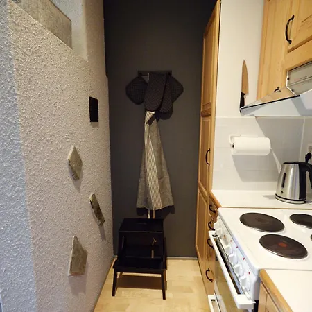 Lempikoengaes, 2 Ruka-pyhae Skipasses Included, Close To Skibus *